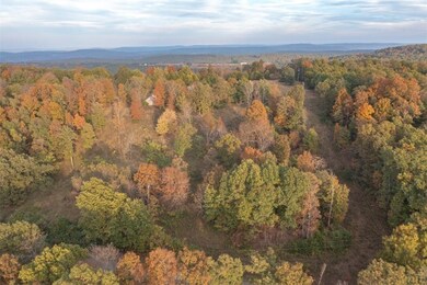 14136 Low Gap Rd, West Fork, AR 72774 - photo 5