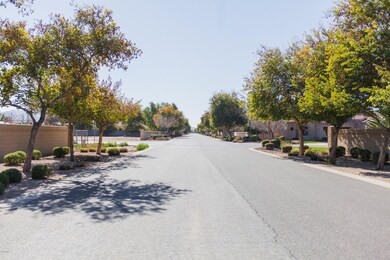 View of Street From Lot