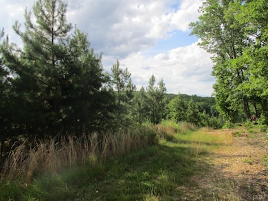 0 Dyestone Ridge Ln, Gladstone, VA 24553 - photo 2