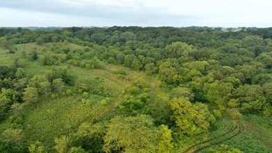 Hazel Rd, Newtown, MO 64667 - photo 7