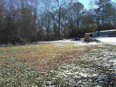 14631 County Road 2215, Tyler, TX 75707 - photo 2