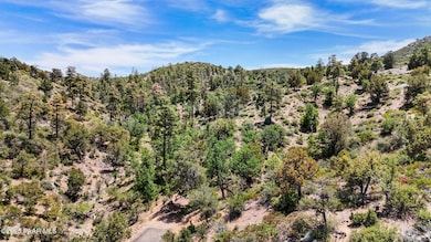 0 Wilderness - Lot Photo 4