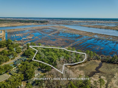 762 Wraggs Ferry Rd, Georgetown, SC 29440 - photo 2