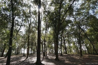 Take your pick of the mature trees to shade your n