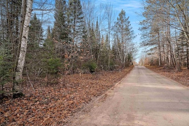 W8951 Pence Lake Rd, Deerbrook, WI 54424 - photo 5