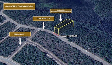 0 Coronado Dr unit 25703078, Chipley, FL 32428 - photo 6
