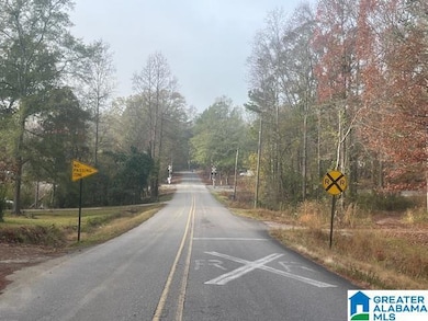 3000 Roberts Mill Pond Rd, Pell City, AL 35125 - photo 3