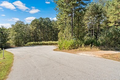 Lot 137 Charter's Trail, West Union, SC 29696 - photo 2
