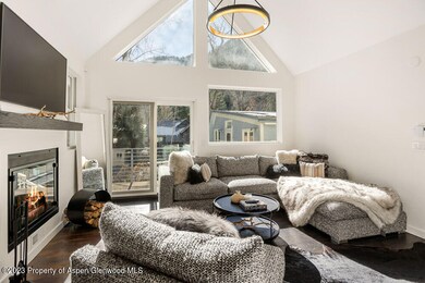 222 W Hopkins Ave unit 6, Aspen, CO 81611 - photo 5