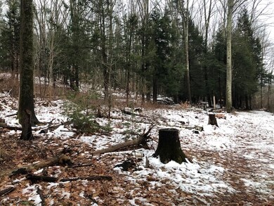 0 Patricia Dr, Portsmouth, NH 03801 - photo 4