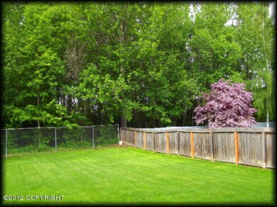 back yard
