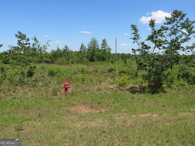 0 Goolsby Rd, Ellaville, GA 31806 - photo 4