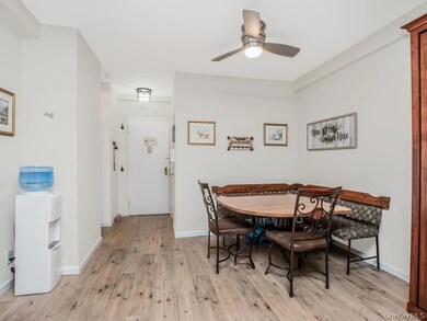 10 Lake St unit 2F, White Plains, NY 10603 - photo 6