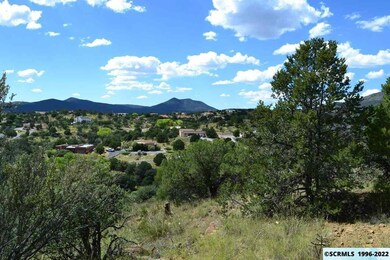 4582 N Shadow Mountain Rd unit 3, Silver City, NM 88061 - photo 3