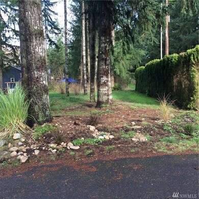 14127 Littlerock Rd SW, Rochester, WA 98579 - photo 2