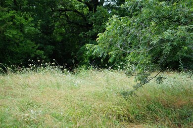 0 E 5th St, Bonham, TX 75418 - photo 5