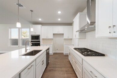 857 Blue Fescue Rd, Justin, TX 76247 - photo 6