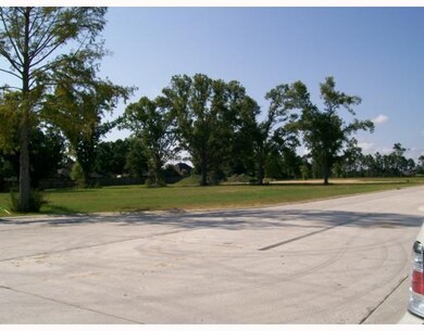 Land/Lot.