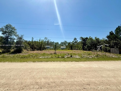 0 SW 103rd Terrace, Cedar Key, FL 32625 - photo 4