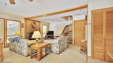 45 Deerfield Cir, Davis, WV 26260 - photo 3