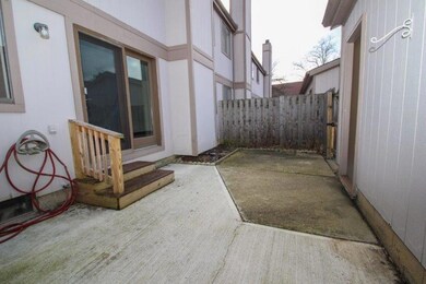 Back Patio- Photo 3