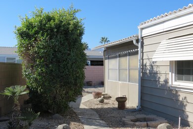 Side Yard