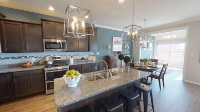 10335 Towle St, Dyer, IN 46311 - photo 5