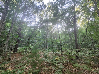 V/L Whitmire Rd, Cedar Creek Township, MI 49457 - photo 2