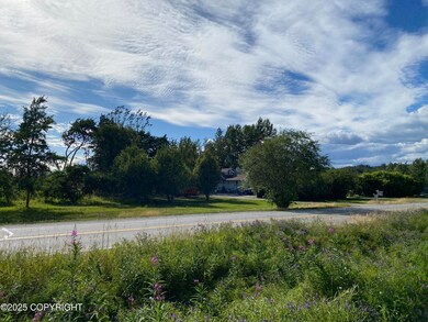 5740 E Blue Lupine Dr, Wasilla, AK 99654 - photo 5