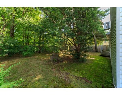 247 Spiers Rd, Newton Center, MA 02459 - photo 4