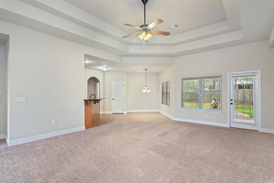 Living room, double tray ceiling