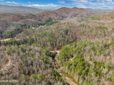 mossy cove way lot-6