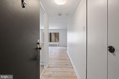 3100 S Manchester St unit 909, Falls Church, VA 22044 - photo 3