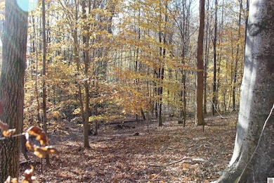 000 Parkersville Rd, Eddyville, KY 42038 - photo 2