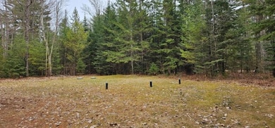 2586W Bearskull Rd, Sherman, WI 54552 - photo 4