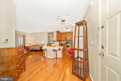 11750 Old Georgetown Rd unit 2328, Rockville, MD 20852 - photo 5