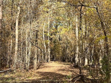 TBD State Highway 155, Winona, TX 75792 - photo 5