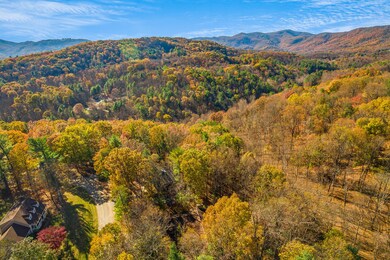 IMG_390_2