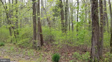 0 Allison Cir unit MDSM2010426, Mechanicsville, MD 20659 - photo 5