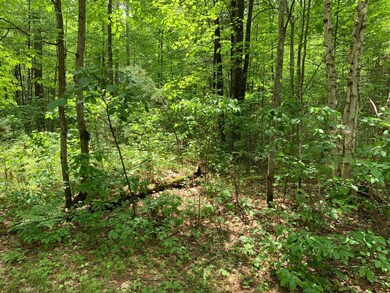 Lot 48 Whitetailed Deer Dr, Tomahawk, WI 54487 - photo 7