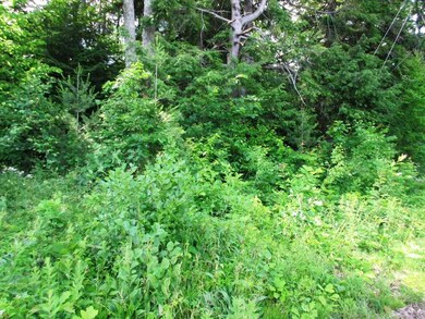 239 Route 114, Bradford, NH 03221 - photo 5