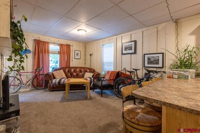 853 E College Dr, Durango, CO 81301 - photo 4