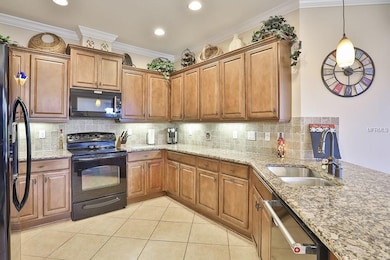 2502 Sapphire Greens Ln, Sun City Center, FL 33573 - photo 7