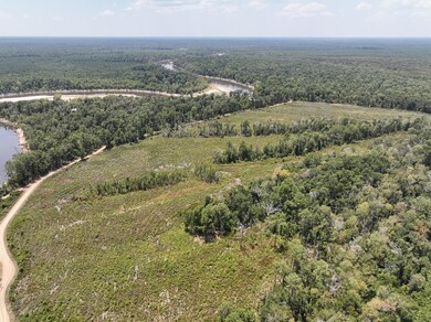 1 County Road 4085, Belgrade, TX 75928 - photo 6