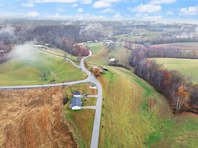 4574 Kentucky 1693, Wellington, KY 40387 - photo 6