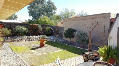 Lovely Backyard on drip