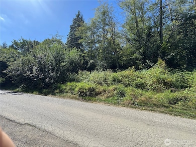 3628 Creek View Ct SE, Parkwood, WA 98366 - photo 4