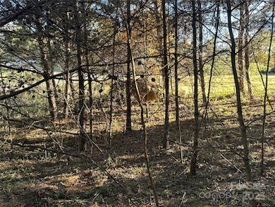 0 Rock Ledge Dr unit 339, Lake Lure, NC 28746 - photo 3