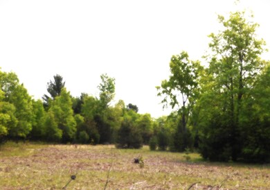 DSCN0642.JPG2