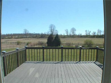 Yard/Garden deck / backyard